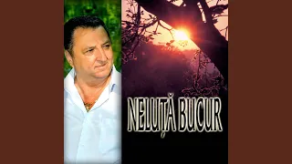 nu s bogat n am avere a crescut baiatul mamii medley 