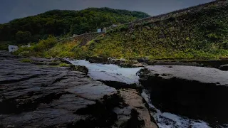 Relaxing Stream Sounds with Rain Noise and Distant Thunder | Soothing Water Sounds for Sleep