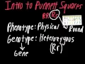 Mendelian Punnett Square Problems Made Easy
