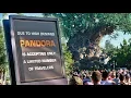 Lagu HUGE line for Pandora - The World of Avatar grand opening stretches through Disney's Animal Kingdom