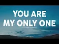 You Are My Only One [AI English Acoustic] Zoe - Cover (Lyrics) TikTok Song Viral
