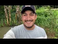 Download Lagu FARTURA NO SÍTIO / VEJAM COMO ESTÁ NOSSA PLANTAÇÃO DE MILHO E FAVA!!!