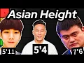 Asian Height Tier List Complete Breakdown
