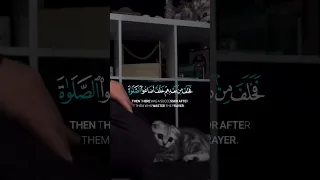 فخلف من بعدهم خلف اضاعو الصلاة واتبعو الشهوات فسوف يلقون غيا سورة مريم القارئ شريف مصطفى 