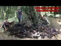 Download Lagu Berburu kalong //undangan warga malimping//panen raya