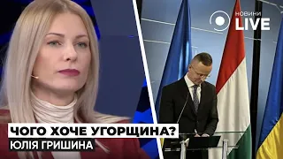 Коли відбудеться зустріч Орбана та Зеленського — Гришина розповіла деталі - 285x160