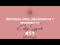 SACRED CODE 411 ARCHANGEL URIEL ABUNDANCE AND PROSPERITY GUIDED ACTIVATION MARIA ELVIRA MURILLO