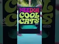Download Lagu Nee Doh Cool Cats #shorts #needoh #coolcat #fidget #meow