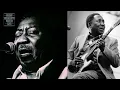 Muddy Waters – Champagne & Reefer  /  Live  1978