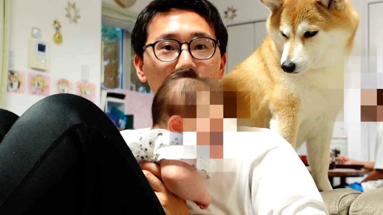 柴犬の赤ちゃんのハッピーホーム訪問決定‼️ストレス解消し、さらに美しくなった瞬間‼️