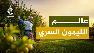 ألف طعم لليمون..أصناف غريبة بنكهات تخطف أنظار كبار الطهاة