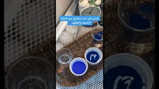 الفرق بين النيلة الزرقاء الاصلية و التقليد 