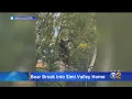 Bear wanders into Simi Valley home