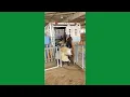 CPP Animals at the LA County Fair