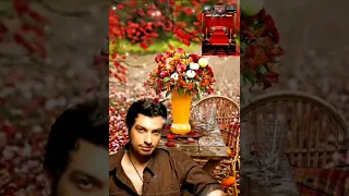 ايهاب توفيق الحلوه يابا مغلباني 