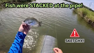 this dangerous spot has the fish stacked what is in this pipe
