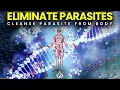 Download Lagu 1150 Hz Parasite Cleanse: Powerful Frequency to Eliminate Parasites