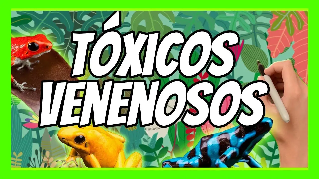 🐸¿POR QUÉ los ANIMALES VENENOSOS no se envenenan a sí mismos?🐍