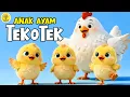 Lagu Tek Kotek Anak Ayam - Lagu Anak Anak  - Lagu Anak \u0026 Balita Paling Viral Sepanjang Masa