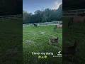 Download Lagu https://www.tiktok.com/t/ZTRMkfsmV/?k=1