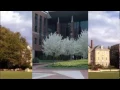 PenState
