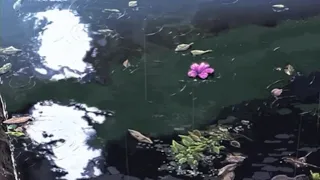 Just One Day Bts Slowed Reverb 