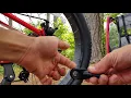 Allen Sports bike trailer hooked to Bintelli M1 - Special Request