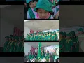 Download Lagu Twinklers Play Day #playday #twinklers