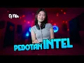 Lagu Pedotan Intel - Dj Terbaru [Official Music DJ 2024]