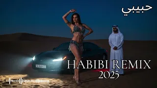 Habibi Remix Uzbekistan 2025 Deep Arabic Chill Nomad Desert Beats 