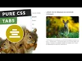 How to Create Pure CSS Vertical Tabs with Indicator Step by Step
