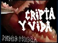 Vacaciones en el mas allá (Letra)- Pedropiedra