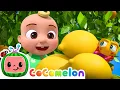 Download Lagu Sing Along: Grow Fruit \u0026 Itsy Bitsy Spider! 🎶| CoComelon Animal Time | Animals for Kids