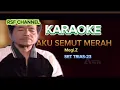 Download Lagu KARAOKE - AKU SEMUT MERAH - Dangdut Koplo - Megi.Z - #dangdut #koplo #stylekorg - #settriaz23