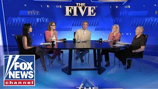 The Five Anti-AI frenzy picks up socialist support