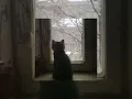 Adele - Hello sped up