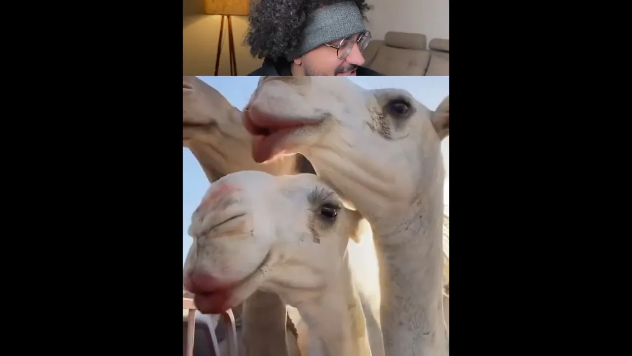 ايه الجمال دا 😂😂