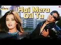 Download Lagu Hai Mera Dil Tu | Albela | Aishwarya Rai \u0026 Govinda | Alka Yagnik, Babul Supriyo | Hit Song