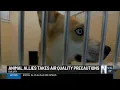 Animal Allies takes precautions due to poor air quality