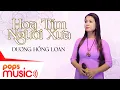 Download Lagu Hoa Tím Người Xưa | Dương Hồng Loan | Official MV