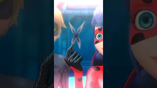 هل ستحصل الدعسوقة على صندوق ميراكولوس جديدا 