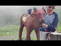 BOKOR, CAMBODIA'S GHOST MOUNTAIN 🇰🇭