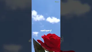 قدر الله وماشاء فعل اكسبلور بدون موسيقى عثمان الخميس 