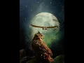 Norma Project - Mystic Night