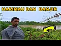 Download Lagu Dokumentasi Full HARIMAU SUMATRA 2 hari Sebelum kejadian di ACEH || Datang mebawa tanda MP3