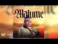 Download Lagu Kailey Botman and Katarina RSA - Malume (Official Audio)