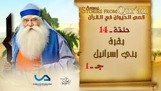 قصص الحيوان في القرآن الحلقة 14 بقرة بني إسرائيل ج 1 Animal Stories From Qur An 