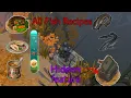 Fishing guide All the fish recipes buffs Last Day on Earth Survival