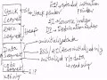 Executable Linker Format with X86 Memory