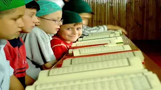 أنشودة عشنا سنينا والكتاب رفيقنا  دندنها